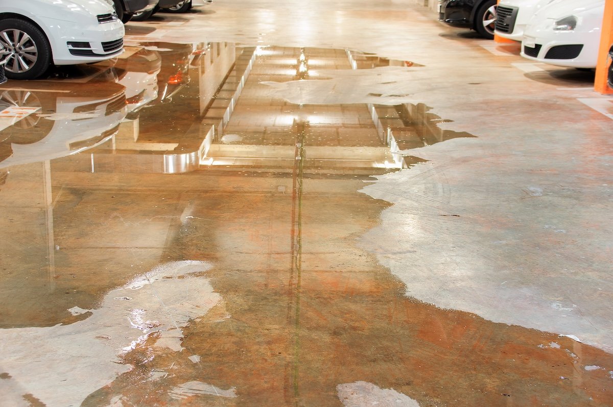 Auto Body Water Leaks